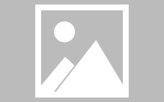 海宁网页设计英文默认字体（网页设置英文转换中文）